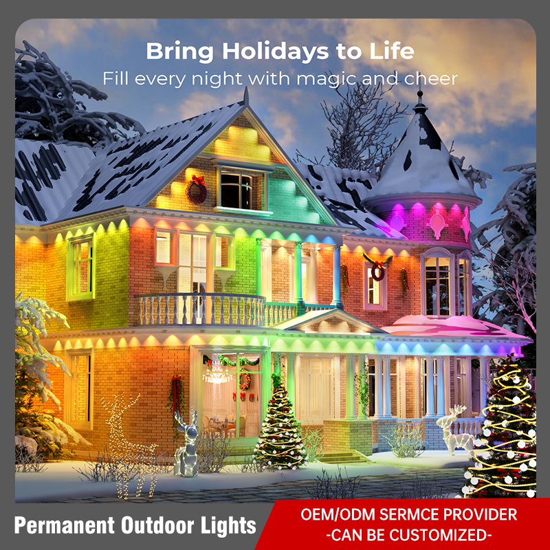 Permanent Outdoor Lights