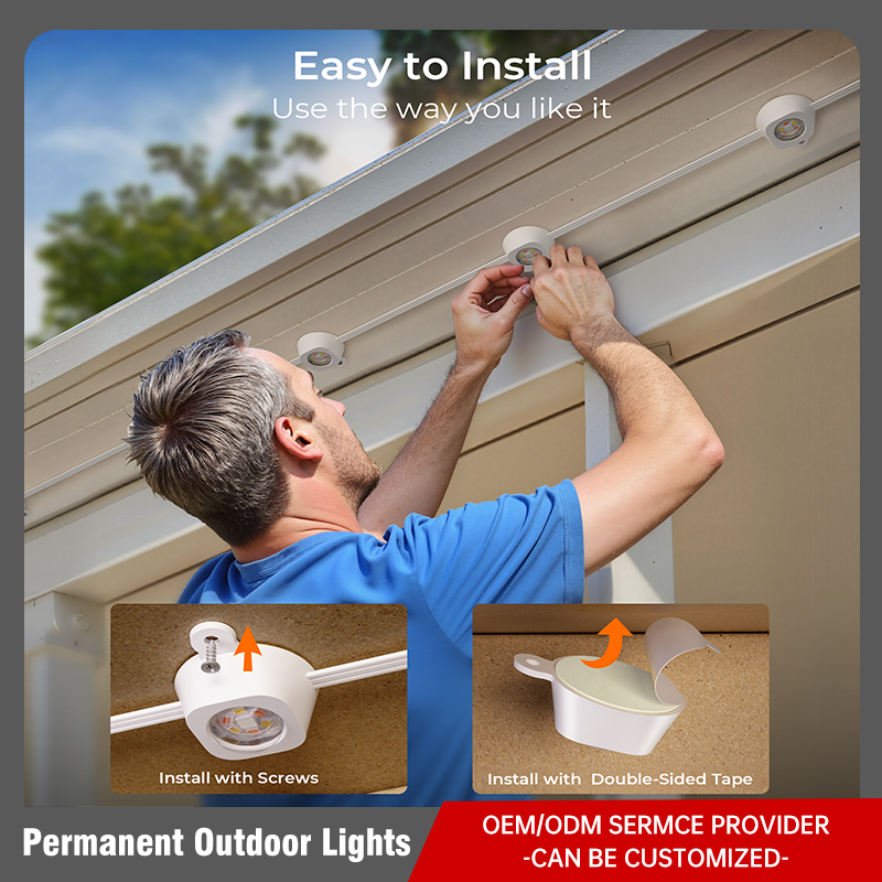 Permanent Outdoor Lights