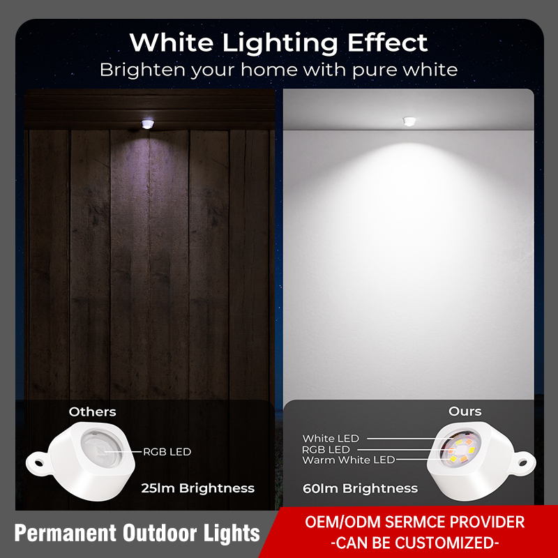 Permanent Outdoor Lights