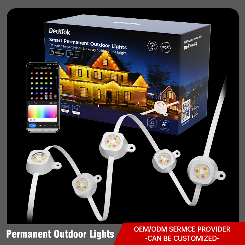 Permanent Outdoor Lights