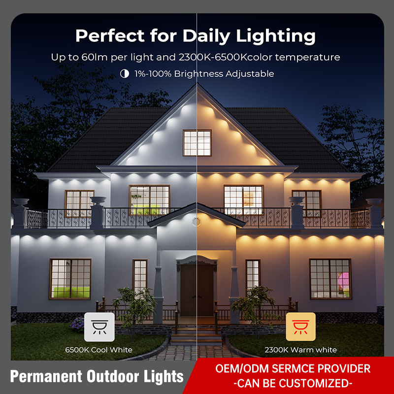 Permanent Outdoor Lights
