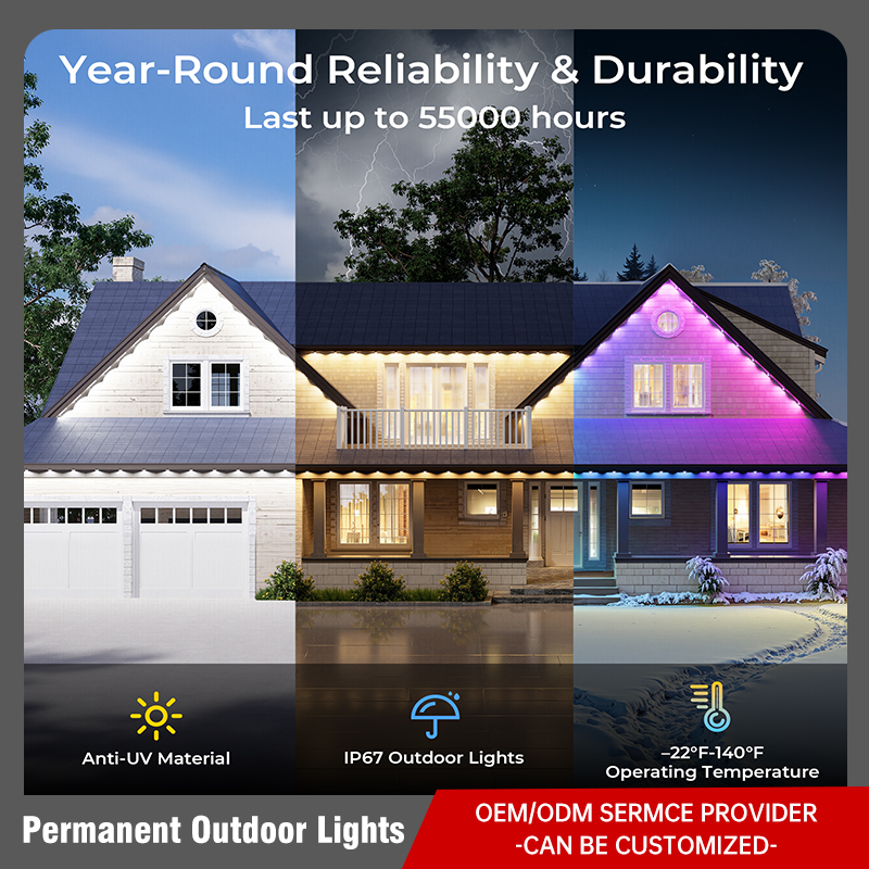 Permanent Outdoor Lights