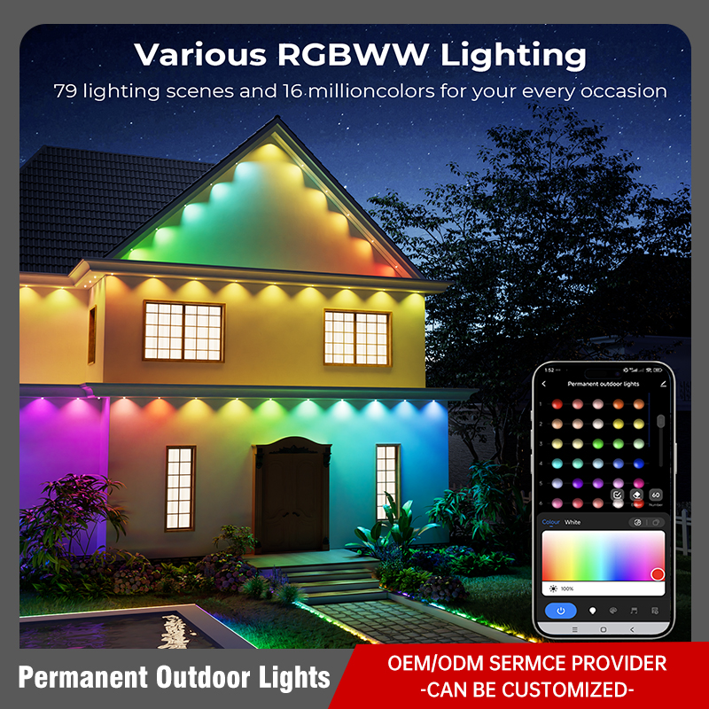 Permanent Outdoor Lights