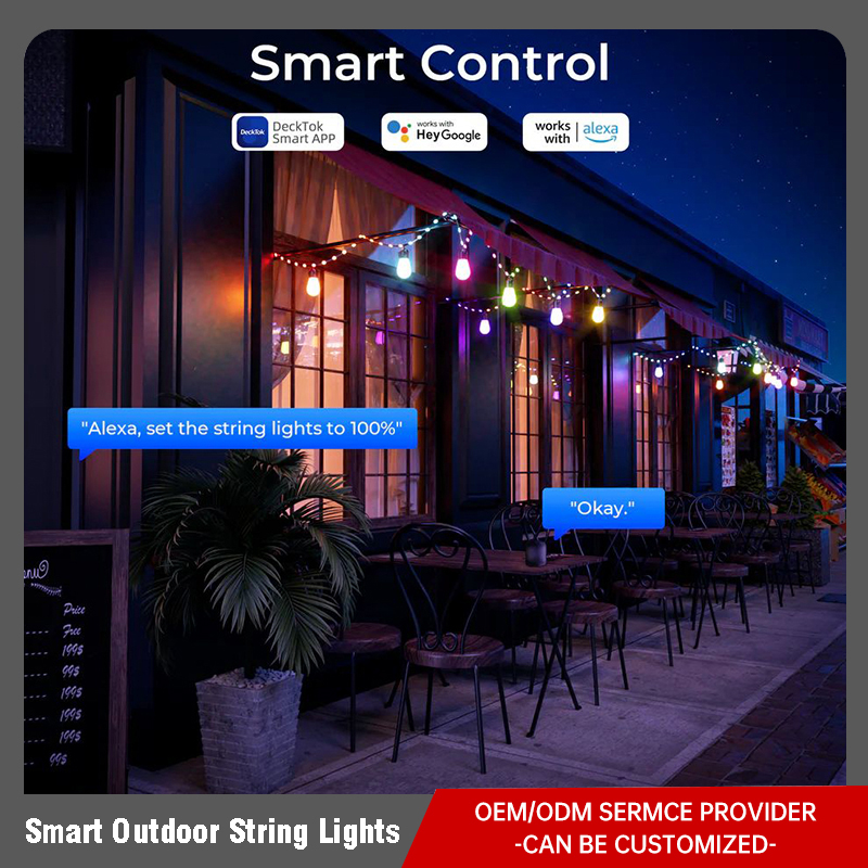 Smart Outdoor String Lights