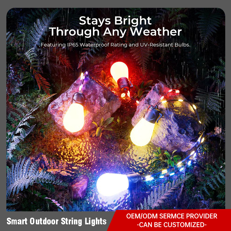 Smart Outdoor String Lights